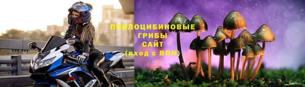 стафф Армянск