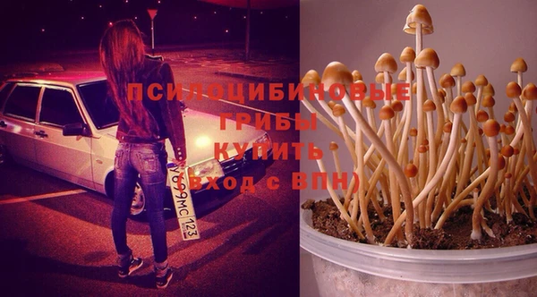 марихуана Аркадак