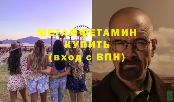 сатива Балахна