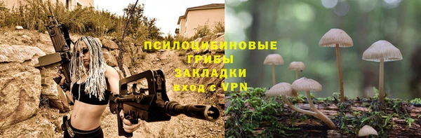 сатива Балахна