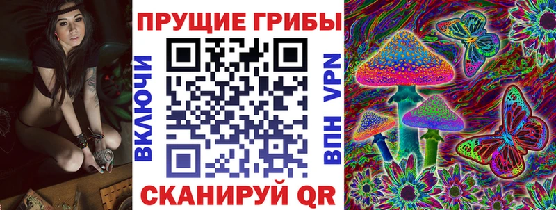где можно купить наркотик  Петухово  Галлюциногенные грибы MAGIC MUSHROOMS 